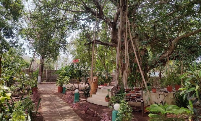 Talala Hotel | Gir Birding Lodge