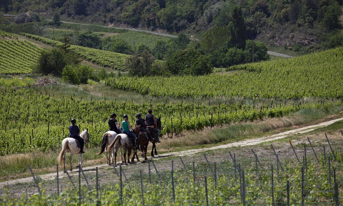 Saint-Benoit House | Gite (18p) in the heart of nature, many outdoor activities