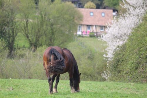 Pays d'Auge House | Gite A la petite Bretonnière