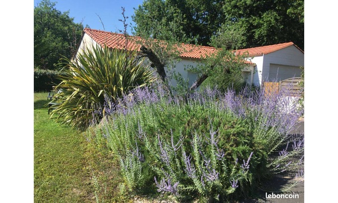 Saint-Georges-de-Montaigu House | Gite de la Liniere in Saint-Georges de Montaigu, Montaigu-Vendée