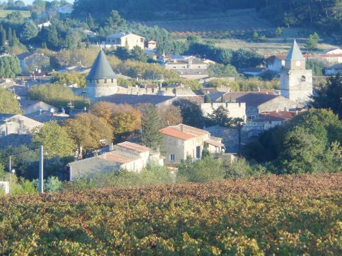 Villeneuve-Minervois Apartment | gite le musee