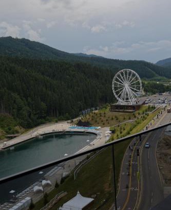Palyanytsya Hotel | Glacier Premium Apartments
