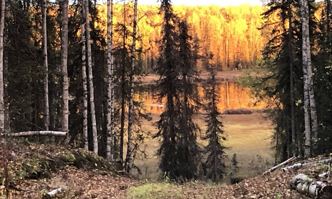 Willow Apartment | Glamping with Lake Views at Birch Haven Yurt