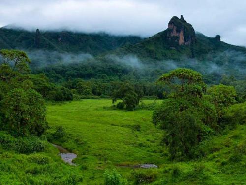 Amhara Region Other | Golan Tours Ethiopia