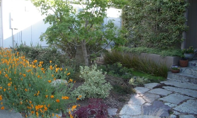 Berkeley Hills House | Gorgeous eco-friendly Berkeley hills home & garden near UC Berkeley