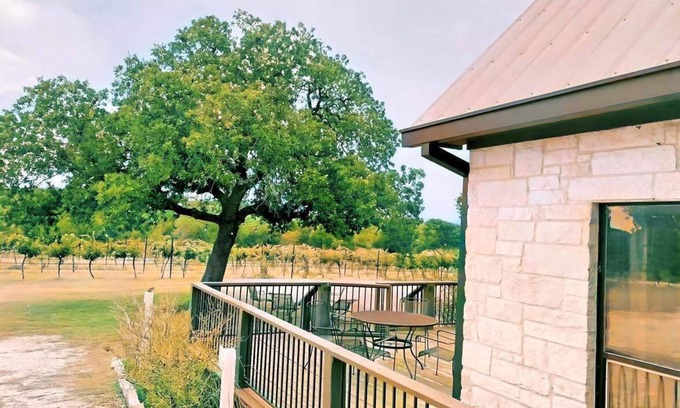 Round Mountain House | Gorgeous Vineyard Home in the middle of the Vines!