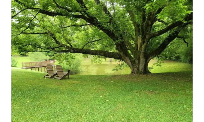 Wheeler House | Grace On Trace Homestead BnB (Lower Level)