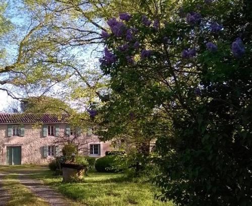 Lussan House | Grand Mas, 32 hectares, nature et retrouvailles