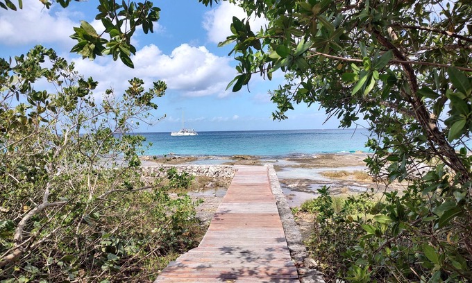 Colonos Cuzamil Condo | Great Condo in Cozumel, OCEAN FRONT! #10