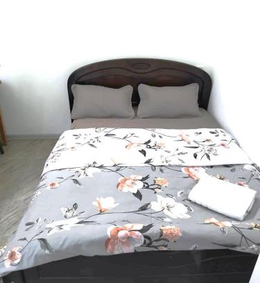 Chugureti Apartment | Green Space Studio Apartment