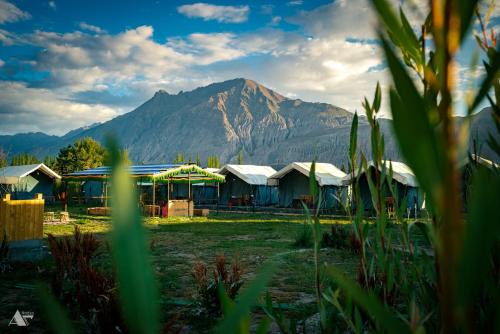 Diskit Bed & Breakfast | green throne camp