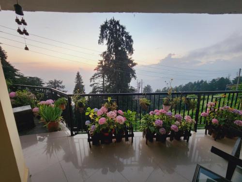 Dalhousie House | GreenValley View Kalatop SmartHiLL