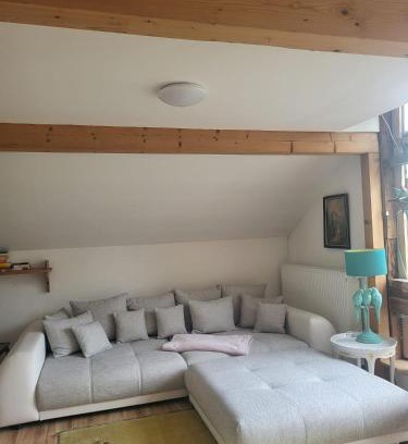 Mittelhof Apartment | Großzügiges Studio-Apartment Siegblick 70qm mit XXL Balkon