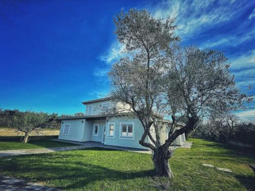 Formello House | Guest House Montestallone