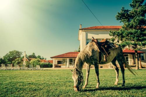 Krushuna House | Guest House Ongal