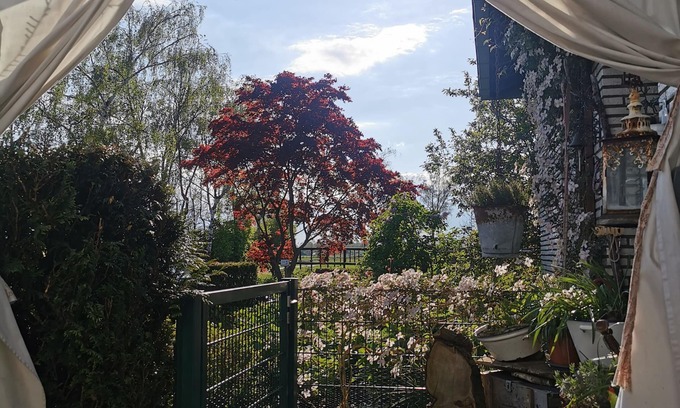Bocholt Cottage | Guest rooms in the country house: peace, nature & workspace