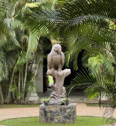 Balancan Hotel | Hacienda Mi Soledad