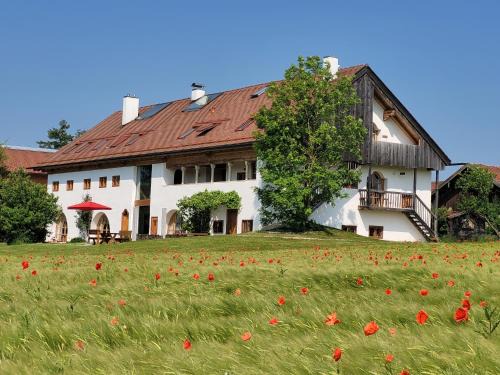 Meisham Apartment | Hagerhof