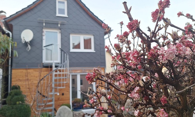 Kammerforst Apartment | Hainichschäferei - If you love peace and quiet and want to hike, this is the place for you