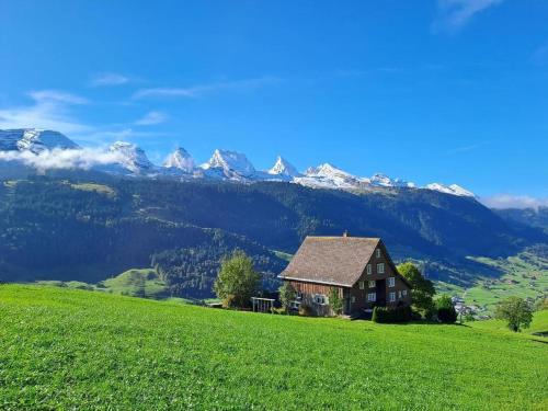 Wildhaus-Alt St. Johann Apartment | Haldenhof Schwizer