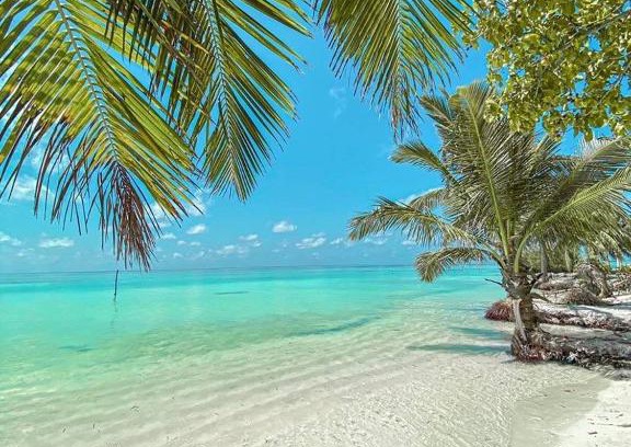 Kaashidhoo House | Happy Feet Inn