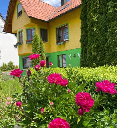 Sankt Johann Apartment | Haus Rosa