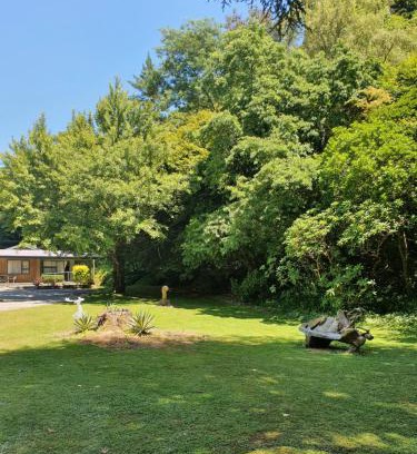 Havelock Hotel | Havelock Garden Motel