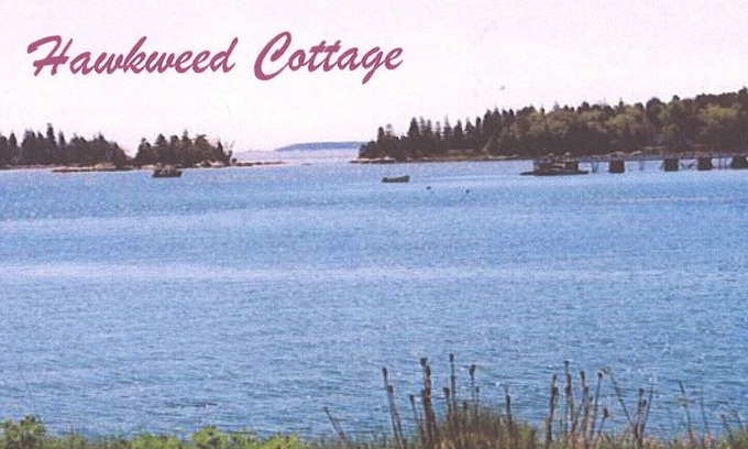 South Thomaston Cottage | Hawkweed Cottage on the Water - Salt Air and Sunshine!
