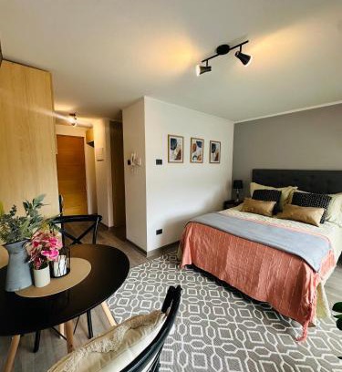 Concepcion Apartment | Hermoso Estudio