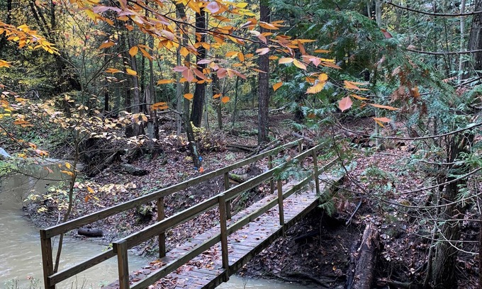 Carsonville House | Hidden Hemlock Retreat Sauna, Spa Tub, Fireplace, Trails, 500M Wi-fi
