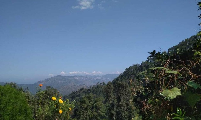 Kaul House | Himalayan View,Chirpy Morning