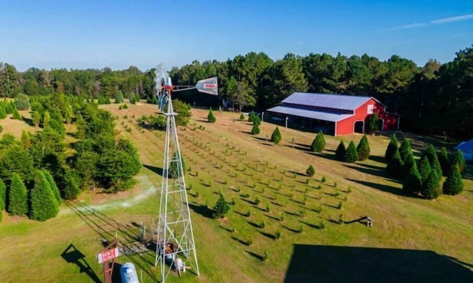 Hattiesburg Other | Historic FarmHouse with Goats & Glass Blowing
