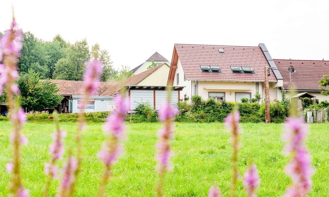Stubenberg House | Holiday apartment Stubenberg am See for 2 - 3 persons with 1 bedroom - Holiday house