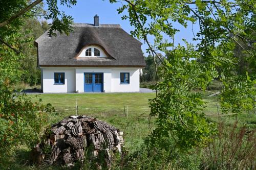 Puddemin House | Holiday home in Poseritz - Insel Rügen 41511