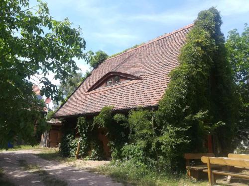 Trebbin House | Holiday home in Trebbin 2611