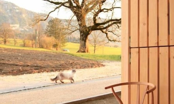 Grandval Other | Holiday house Grandval for 6 persons with 3 bedrooms - Farmhouse
