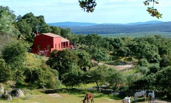 Montanchez Other | Holiday house Montanchez for 1 - 6 persons with 3 bedrooms - Farmhouse