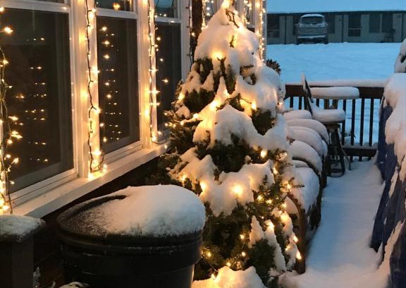 Hillsdale Hotel | Holiday House Motel