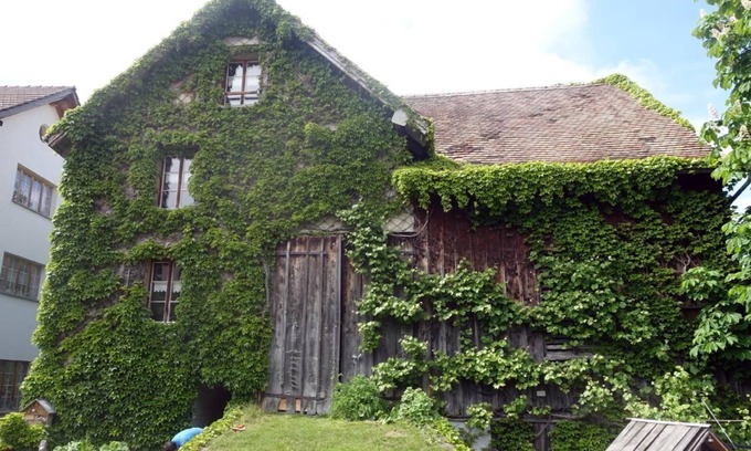 Oberschan Other | Holiday house Oberschan for 1 - 8 persons with 4 bedrooms - Farmhouse