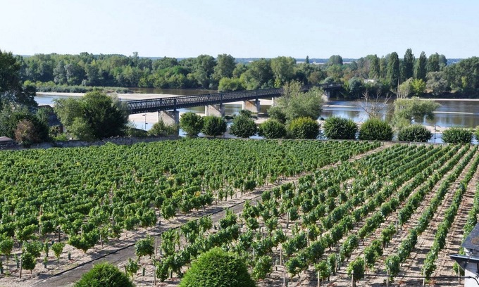 Pouilly-sur-Loire Cottage | Holidays in Pouilly/Loire overlooking the Loire and the vineyards classified 2 stars