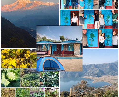 Pokhara House | Hom's Homestay & Farmstay Sarangkot Pokhara