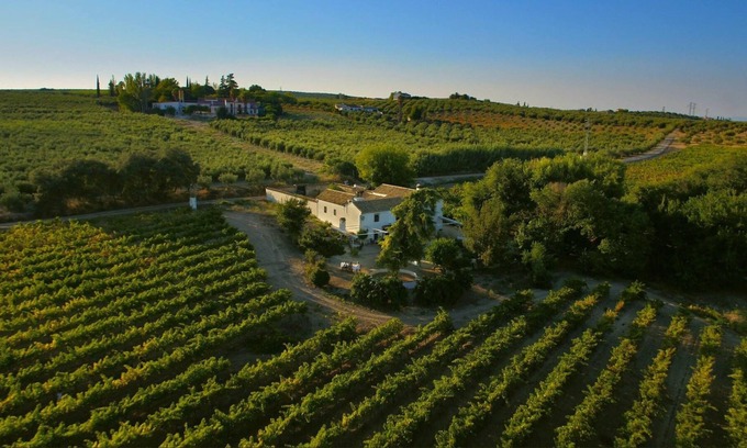 Montilla Villa | Homerez - Big villa for 16 ppl. with swimming-pool at Montilla