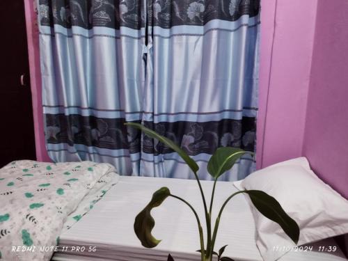 Baglung House | Homestay in Baglung Bazar -Baglung Homestay