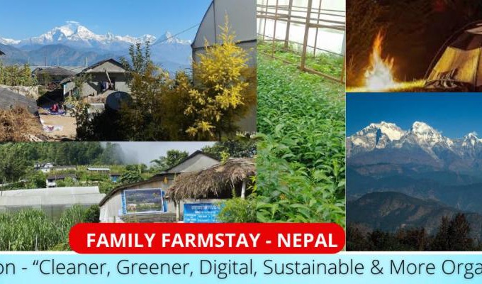 Jhamsikhel House | Homestay in Kathmandu- Eco Homestay Nepal