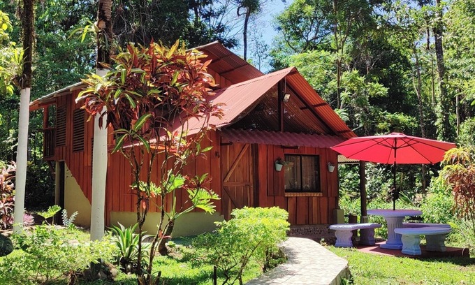 Agonia Cabin | Hospedaje en Bosque Tropical Reforestado, Lleno de Naturaleza, paz y Relajación