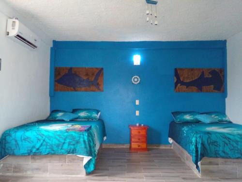 Sontecomapan House | Hostal