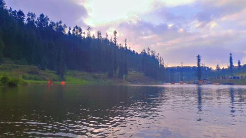 Lohaghat Hotel | HOTEL Cedar Heritage