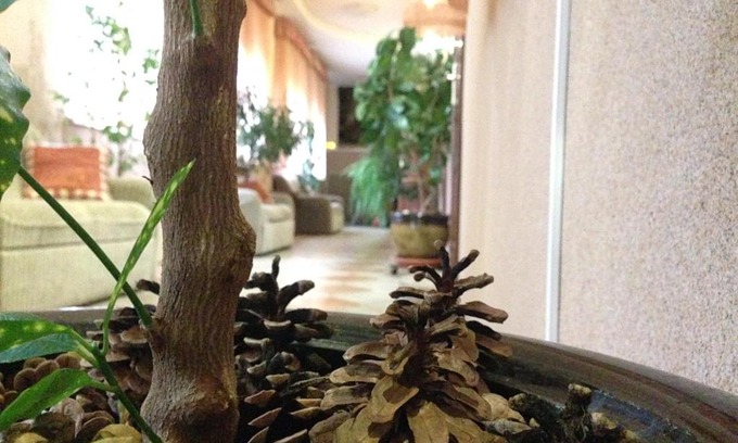 Leninskiy rayon Hotel | Hotel Dama s Sobach'koy