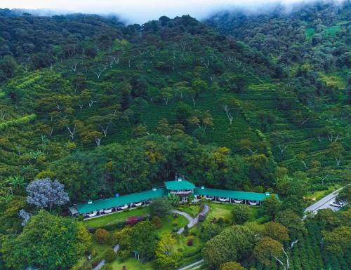 Boquete Hotel | Hotel Finca Lerida Coffee Plantation and Boutique Hotel