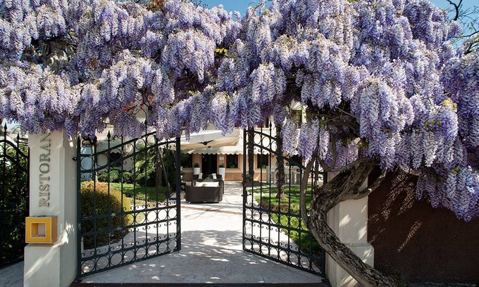 Cecchini Hotel | Hotel Il Cecchini
